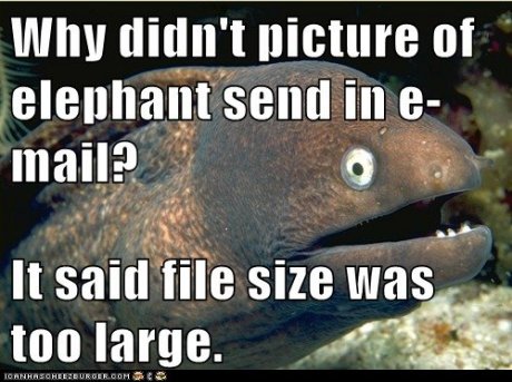 Elephant Joke