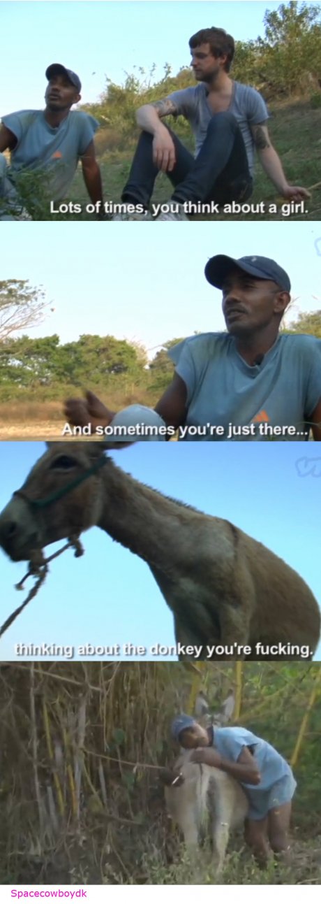 Donkey F**king