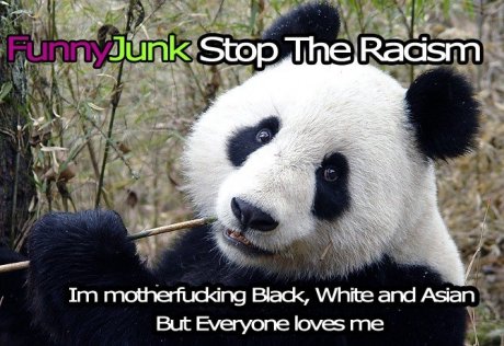 Panda Lesson