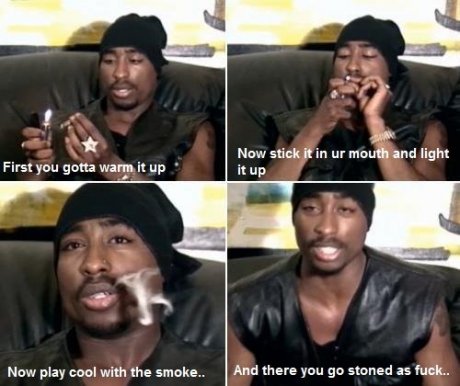Blunt Guide