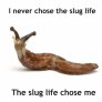 Slug life