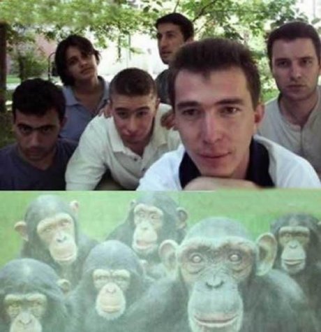 monkeys