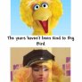 Poor Big Bird