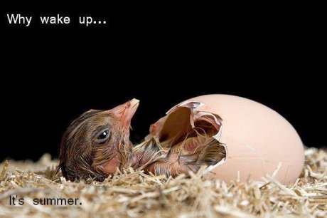 y get up?