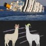 Caaaaaaaarrrl