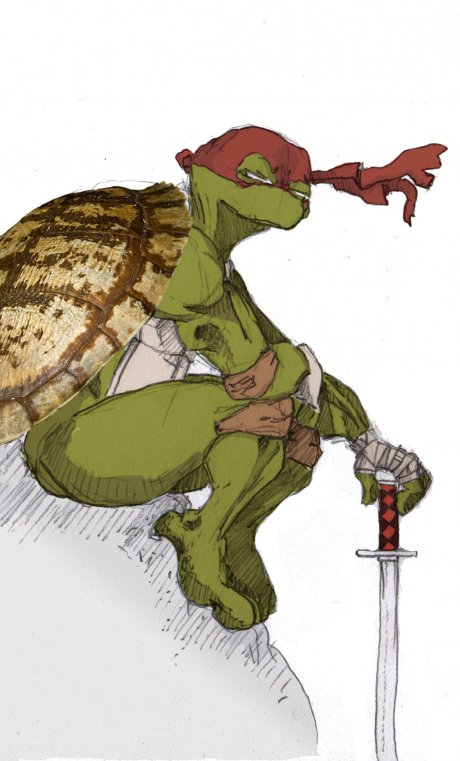 ninja turtle