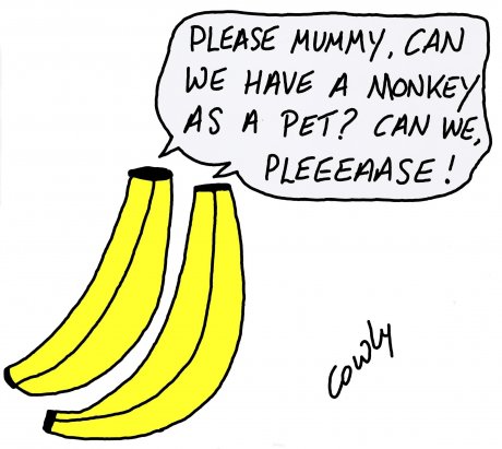 BANANAS