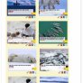 Making the most of oilspills