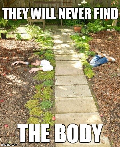 the perfect crime