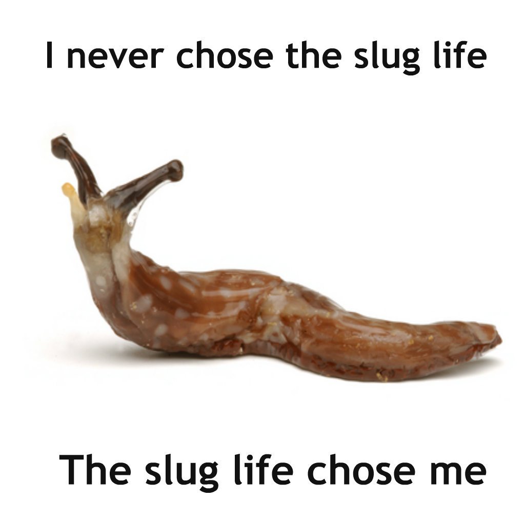 Slug life