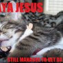 ASSASSASSASSASSASSASSASSASS