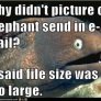 Elephant Joke