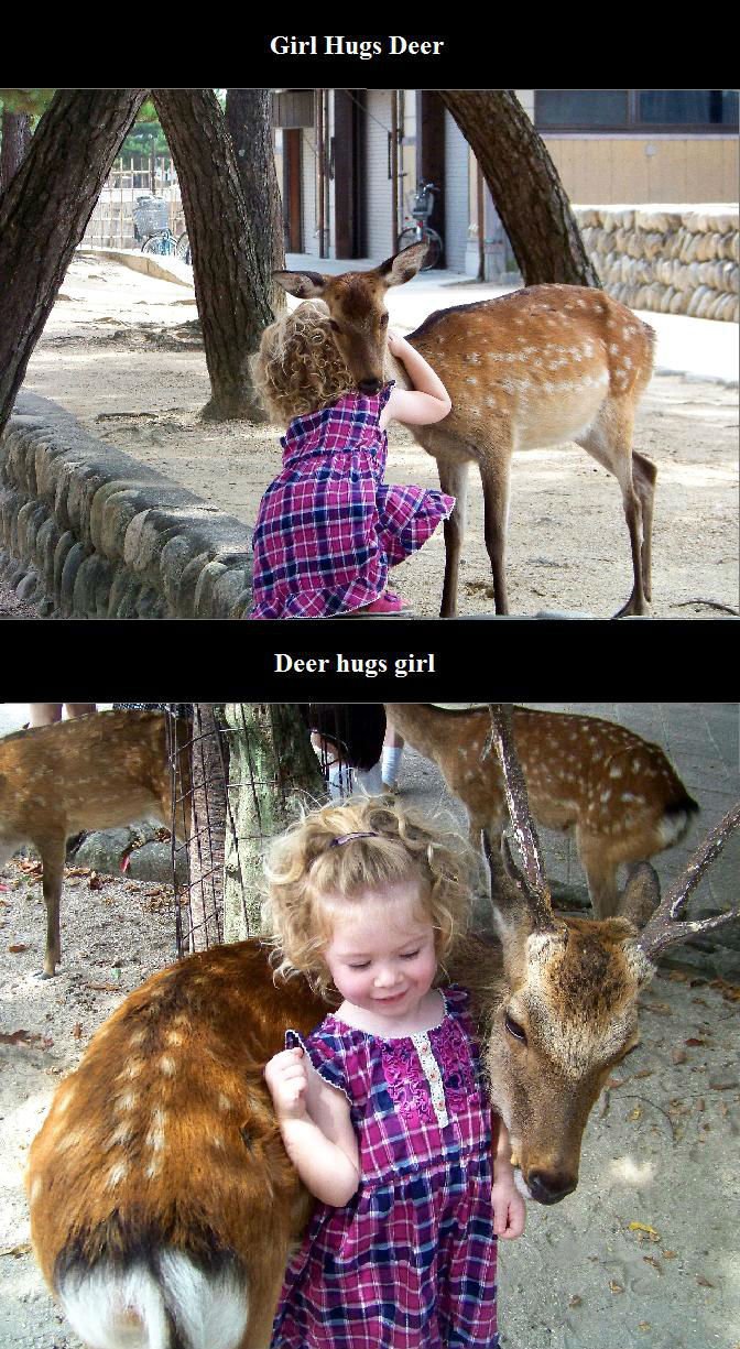 Oh Deer, I am so Fawned of this.
