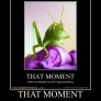 That moment