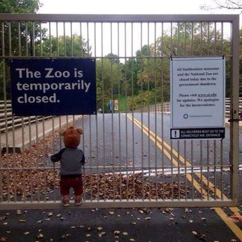 Saddest Picture of Gov't Shutdown