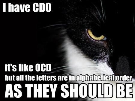 kitteh has problems