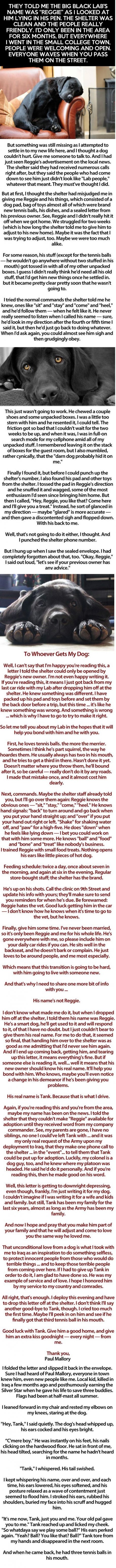 Doge Feels WORTH THE READ