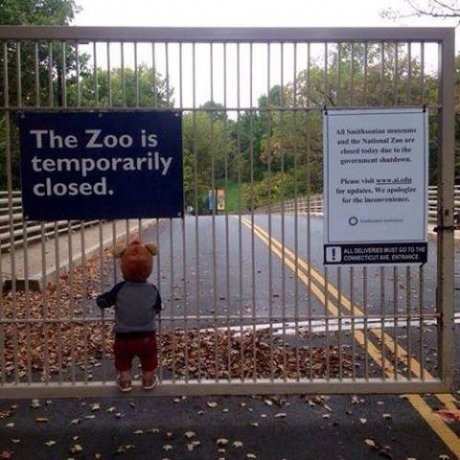 Saddest Picture of Gov't Shutdown