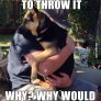 Poor doge