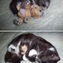 Friends 4ever