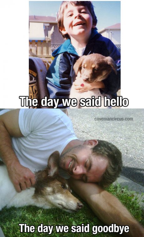 Doge Feels