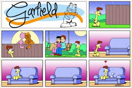 Garfeels