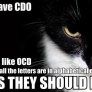 kitteh has problems