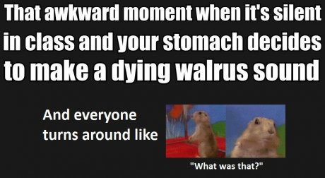 Stomach Sounds