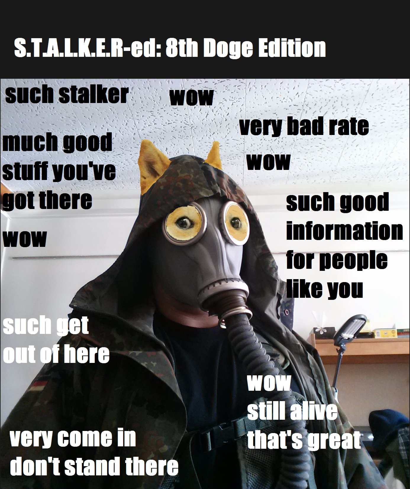 S.T.A.L.K.E.R-ed: Doge 8th Edition