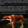 Video Game facts #29