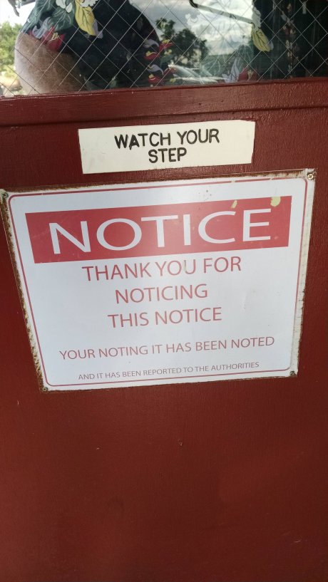 Thank you for noticing.