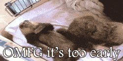 When I have to get up for a 4am shift