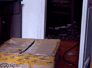 Hey, what's in that box there?