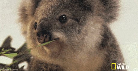 Cuteness overload