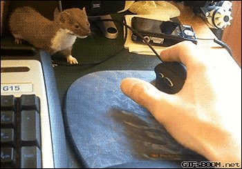 No gaming for you!