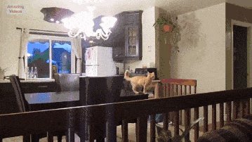 Dream big