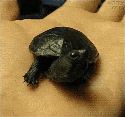 *Yaaawn*