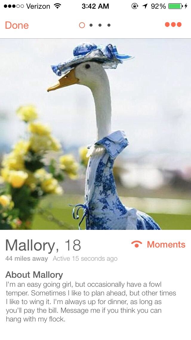 This is the best thing I've ever seen on tinder.