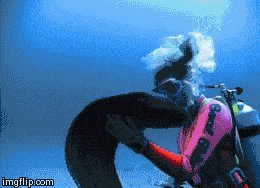 Making friends with an eel