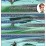 The Tallest Trees...