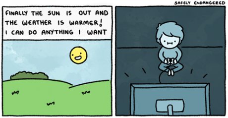 Summer in a Nutshell