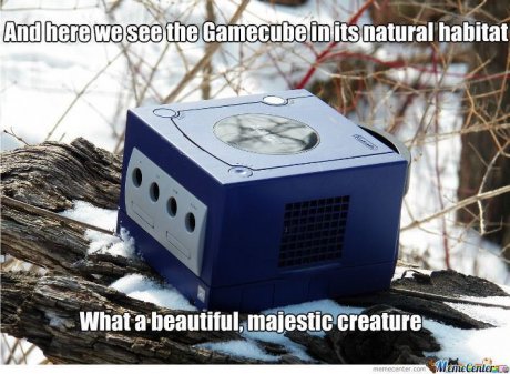 Endangered Species