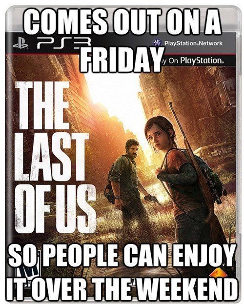Good Guy Naughty Dog