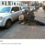 Tumblr