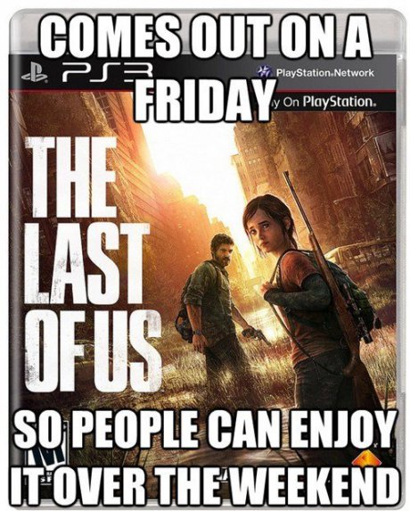 Good Guy Naughty Dog