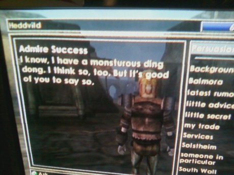 Fun with Morrowind