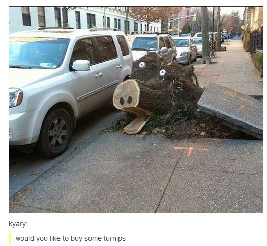 Tumblr