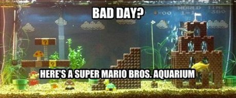 I always hated the water level