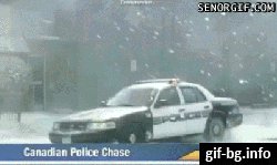 Winter chase