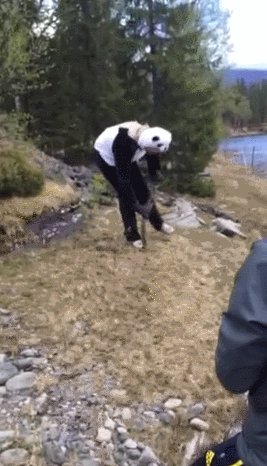 You Don't Need a Reason to Act a Fool When You're This Drunk